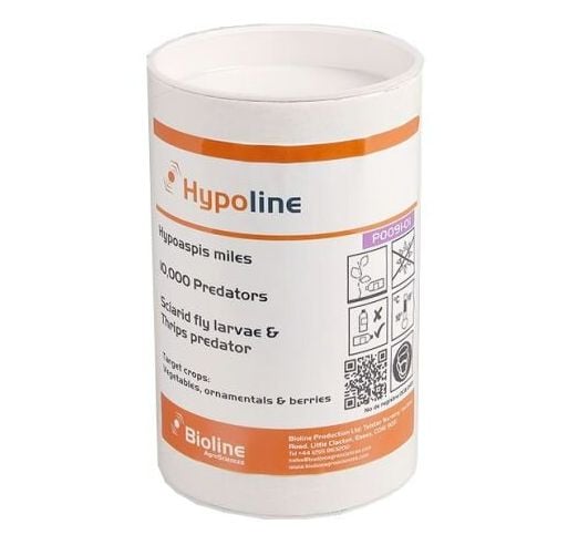 Sciarid Fly Treatment Hypoline M (Hypoaspis mites) Tube of 10,000