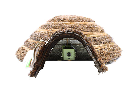 hedgehog house with camera