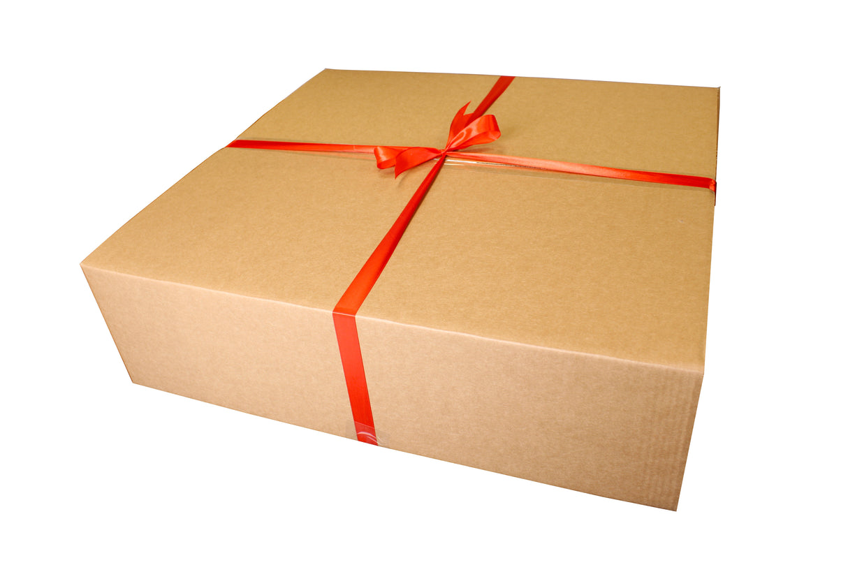 gift box with ribbon hedgehog house and camera