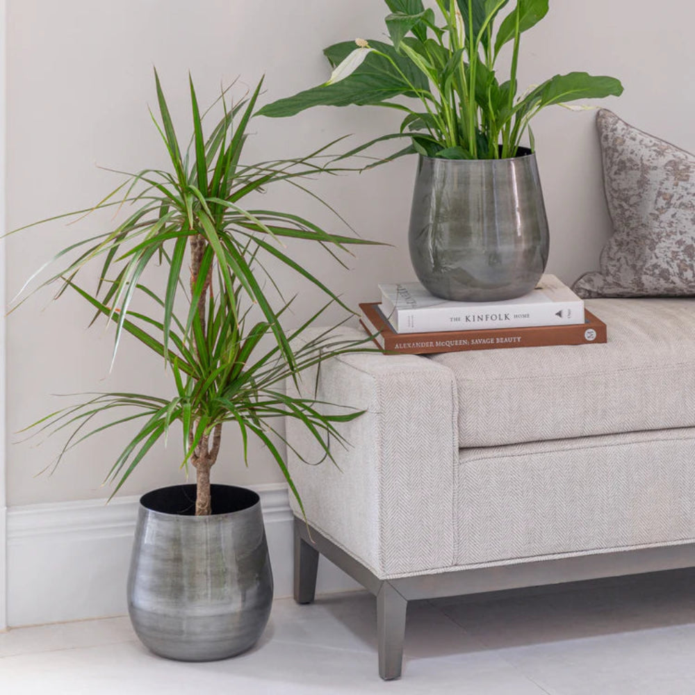 antique plant pots indoor Pewter Plant Pot For Houseplants – Gardening Naturally