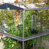 Double Tomato Greenhouse