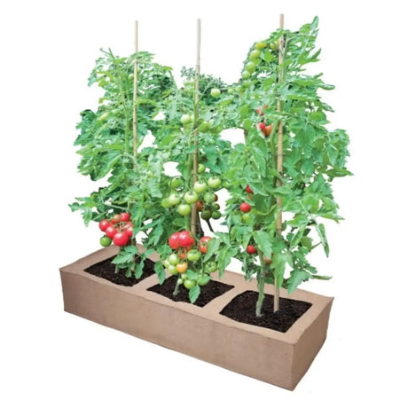 jute grow bag with tomatoes