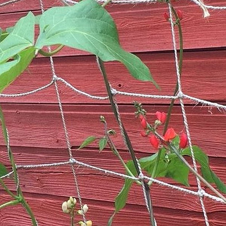 Jute netting used as support for climbing plants, attached to a red wooden fence, with green leaves and red flowers visible.