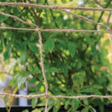Jute netting in garden