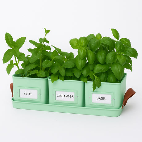 Herb Pots for the Kitchen, Grey, Cream or Green