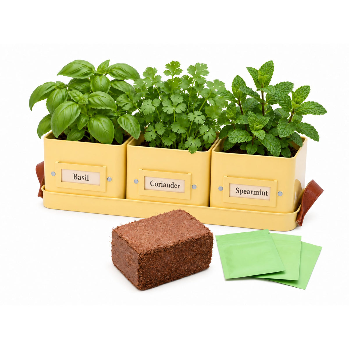 Herb or Chilli Pot sets for the Kitchen, Grey, Buttercream or Green