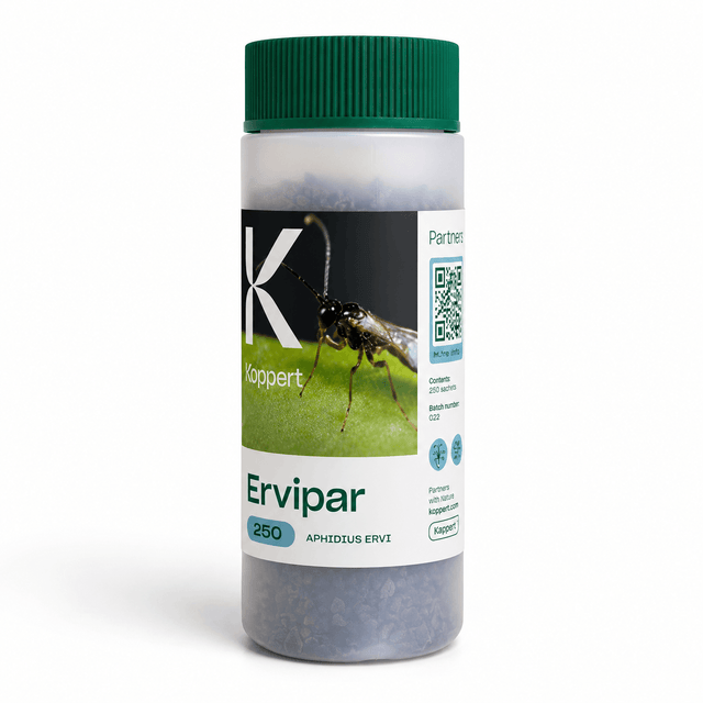 Koppert Ervipar insecticide container with green lid on a white background