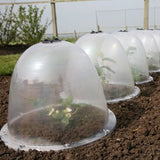 King size cloche in garden