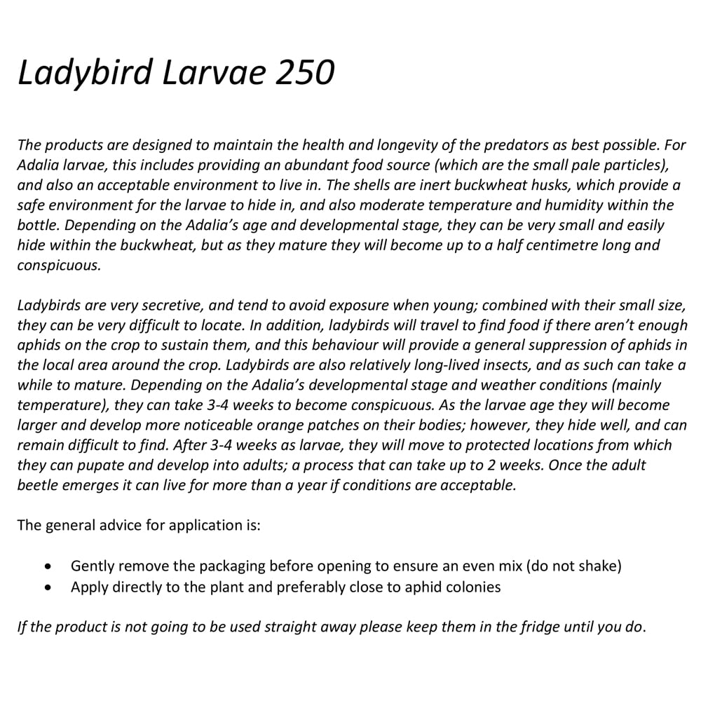 Ladybird Larvae - 250 Larvae Natural Pest Control