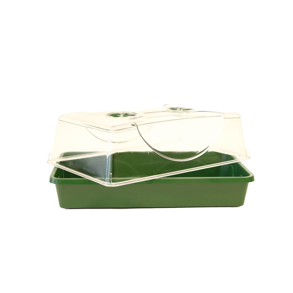 Green plastic tray with a transparent lid and lid open n a white background