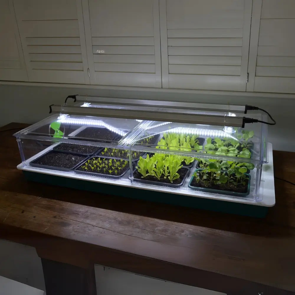 large vitopod propagator with led lights