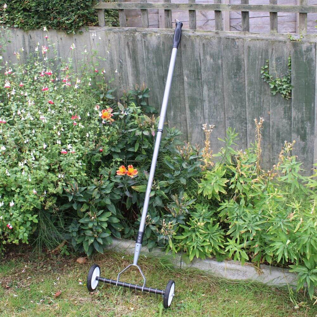 lawn scarifier in garden with plants