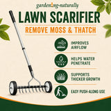 removes moss and thatch