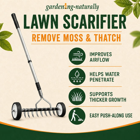 removes moss and thatch