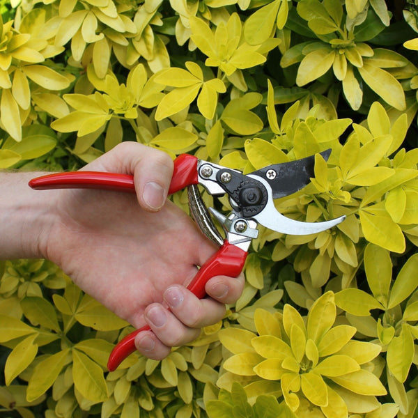 left handed garden scissors Professional Left Handed Pruner