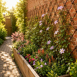 Floral garden with a brick wall and trellis in a sunlit garden.