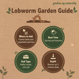 Lobworm Garden Guide