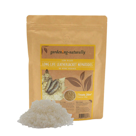 Package of long life leatherjacket nematodes on a white background