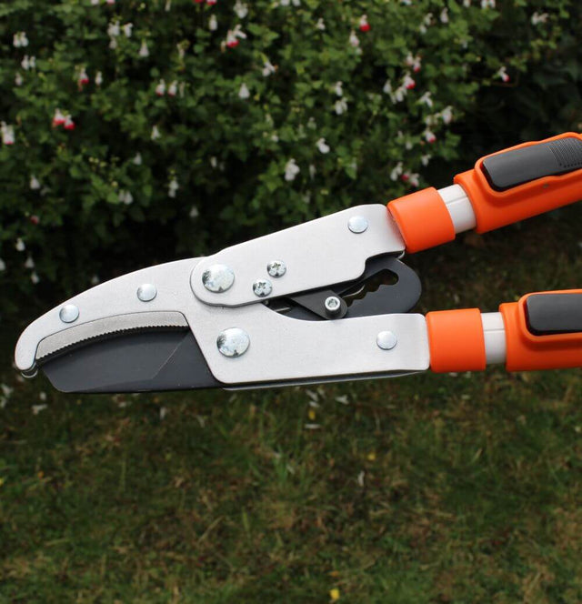 end of telescopic lopper in garden