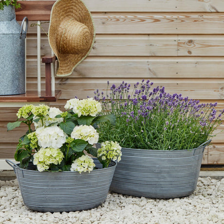 steel matlock planters with plants 