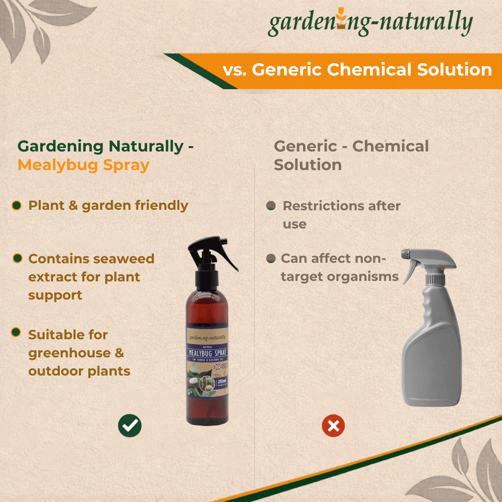 Comparison chart between 'Gardening Naturally' mealybug spray and a generic chemical solution on a beige background.