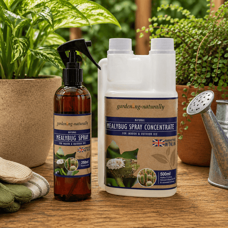 Garden pest control products including a spray bottle and concentrate on a wooden surface with plants in the background.