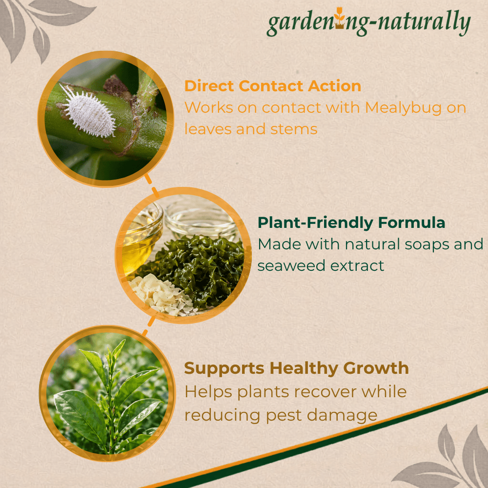 Gardening Naturally product description with images of pests and plants on a beige background.