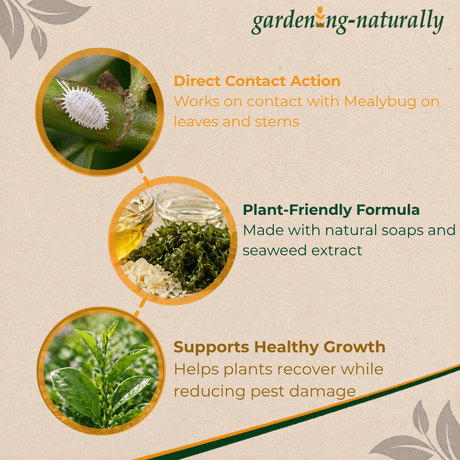 Gardening Naturally product description with images of pests and plants on a beige background.