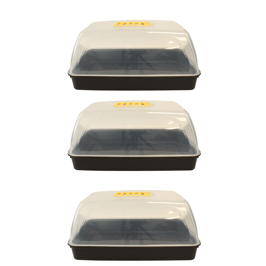 Three black plastic containers with transparent lids on a white background