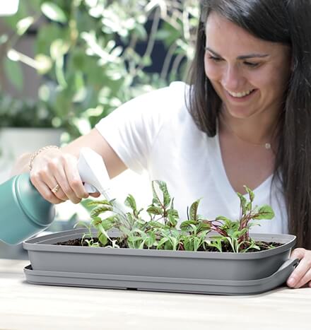 Propagator and Lid