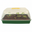 Green and clear plastic seedling tray with young plants inside on a white background