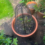 A black metal plant cage with a dome-shaped wire mesh cover and a hanging loop, shown protecting a plant inside a terracotta-colored plastic pot in an outdoor garden setting.