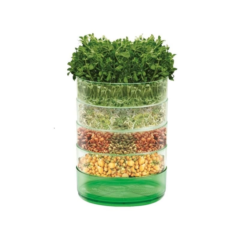 Micro Greens Kitchen Seed Sprouter