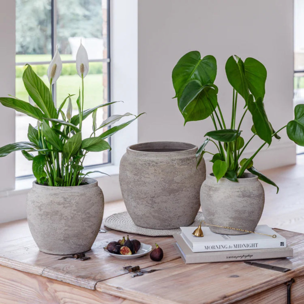 rustic indoor planter Rustic Ceramic Planter Textured Grey Finish – Gardening Naturally