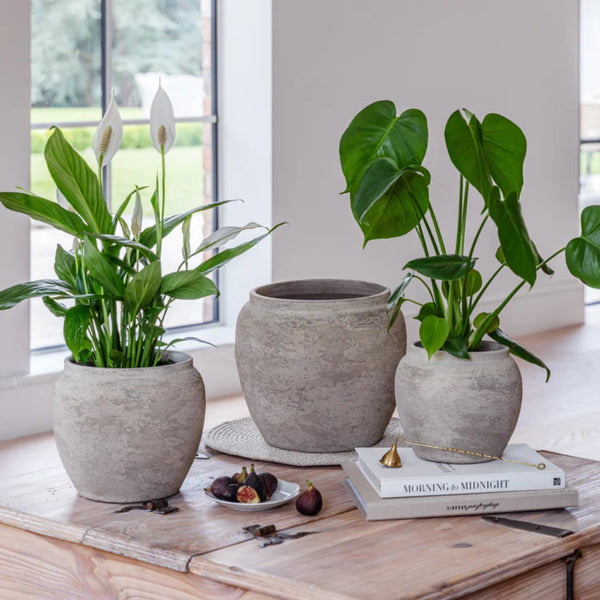 indoor plant pots big Rustic Ceramic Planter Textured Grey Finish – Gardening Naturally