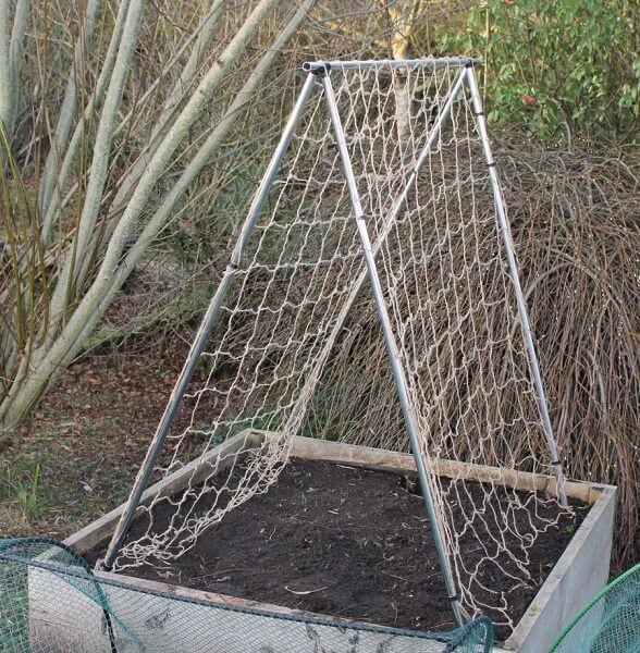 A mini pea and bean support frame made of aluminium tubing, positioned in a garden bed, with a net attached to it.