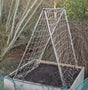 A mini pea and bean support frame made of aluminium tubing, positioned in a garden bed, with a net attached to it.