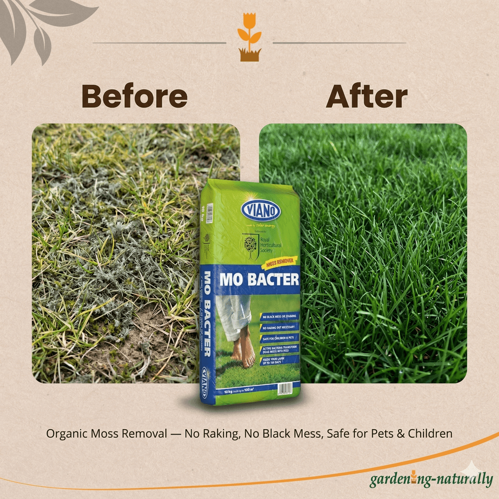Viano MO BACTER product packaging with 'Before' and 'After' images of grass showing moss removal.