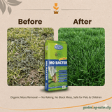 Viano MO BACTER product packaging with 'Before' and 'After' images of grass showing moss removal.