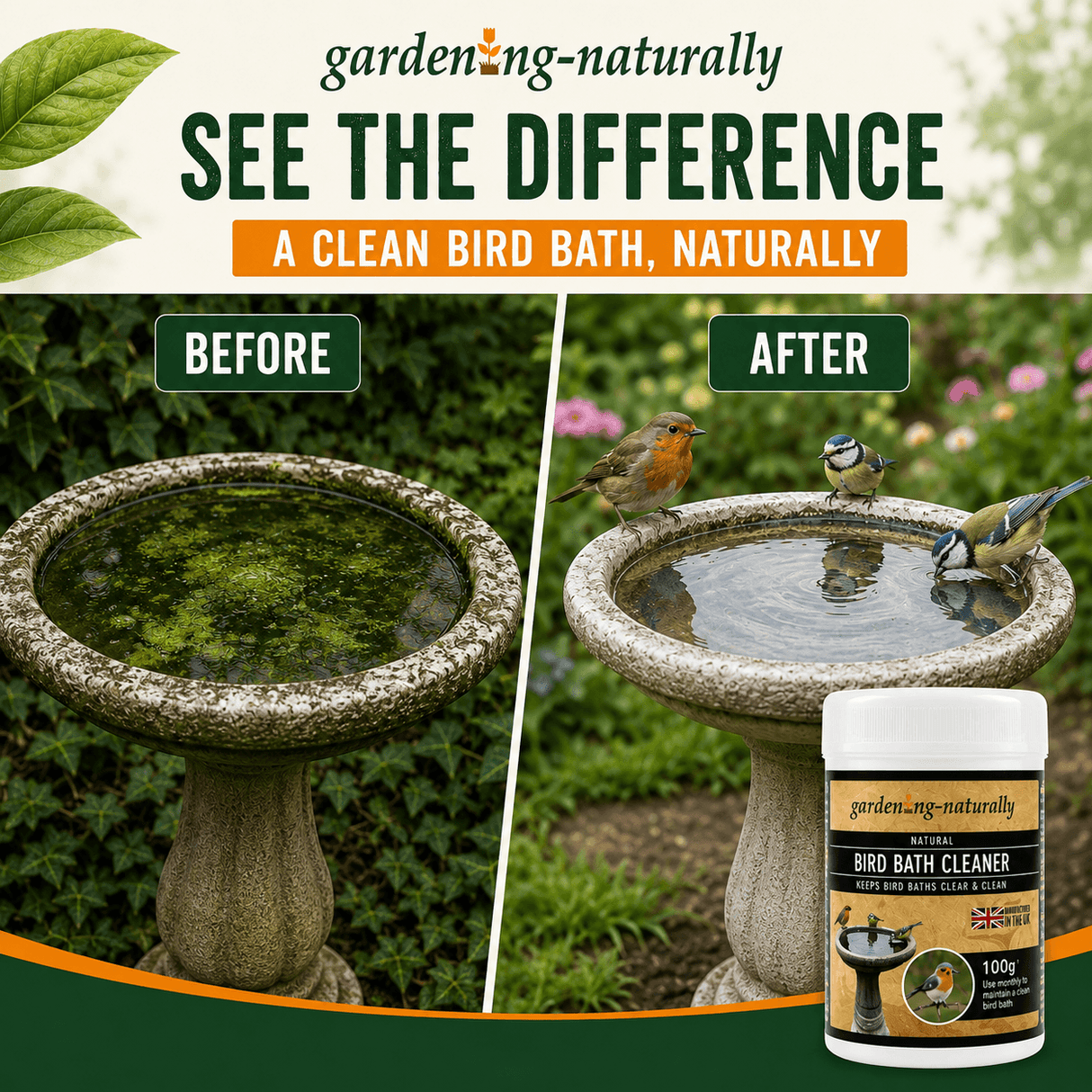 Before-and-after comparison graphic for garden-naturally bird bath cleaner, showing a stone bird bath with green algae buildup labeled 'Before' and the same bath cleaner and cleaner bird bath labeled 'After' with birds standing in the water. A jar of the cleaner is shown in the lower right.