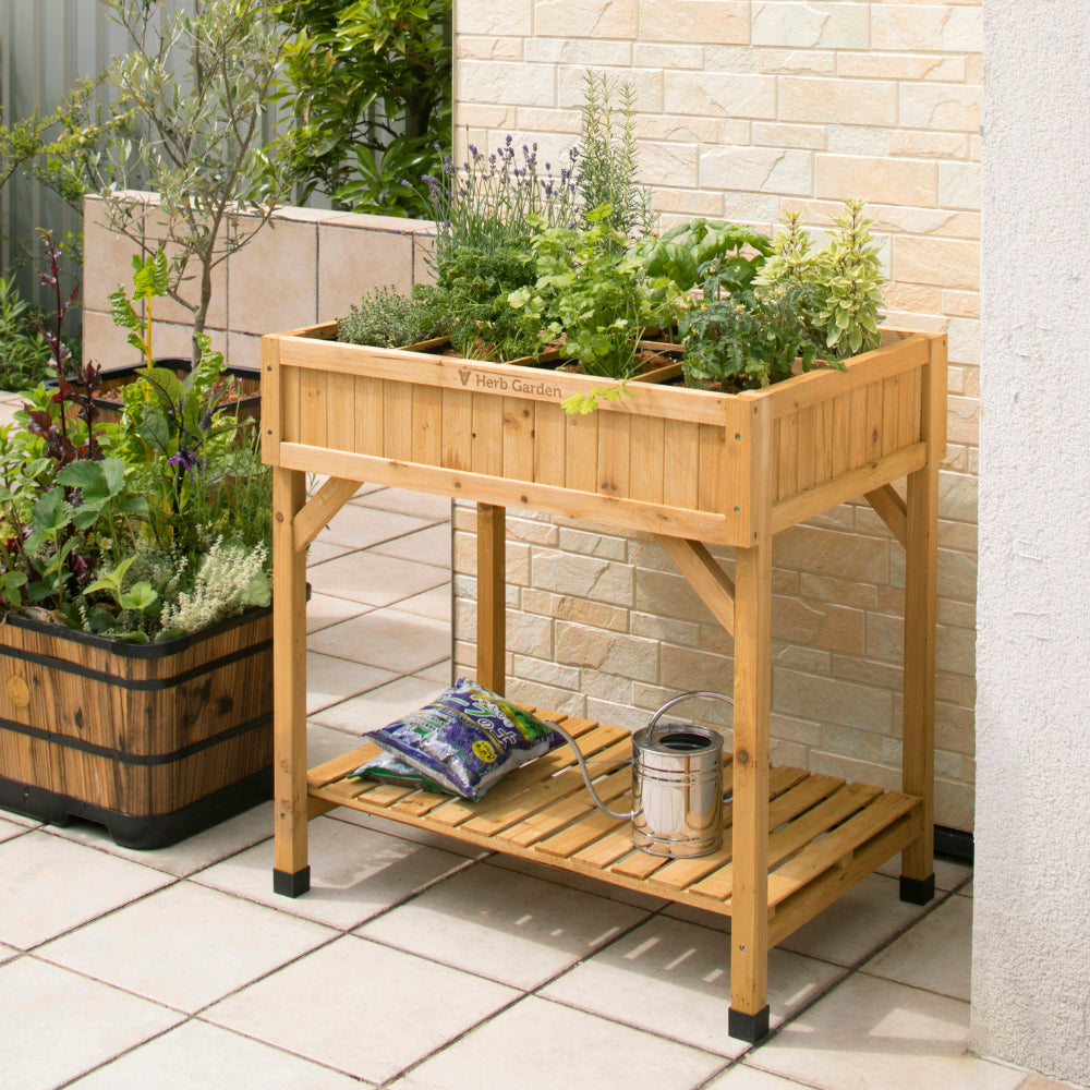 natural herb garden on patio