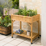 natural herb garden on patio