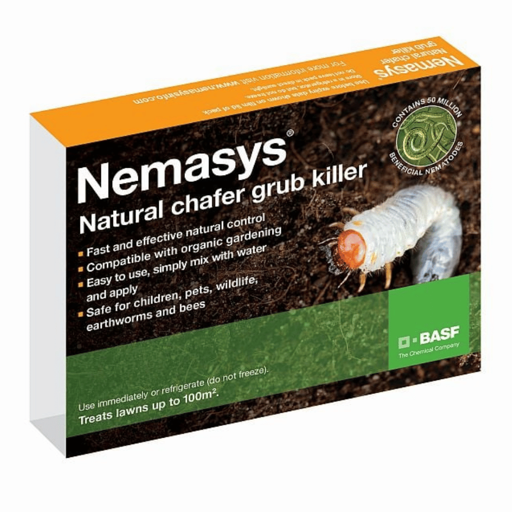Box of Nemasys natural chafing grub killer featuring an image of a chafer grub and the product name and brand.