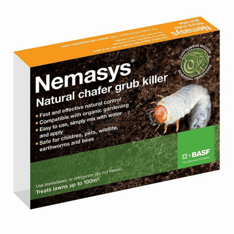 Box of Nemasys natural chafing grub killer featuring an image of a chafer grub and the product name and brand.
