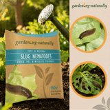 Package of Slug Nematodes with images of slugs and damage on plants, set against a garden background.