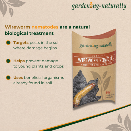 Wireworm nematodes benefits graphic highlighting key information