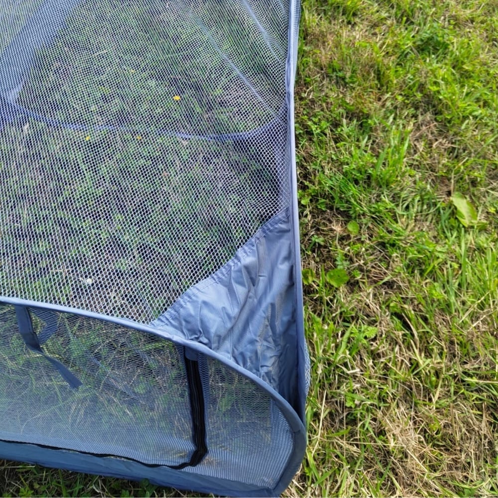 close up of the netting chicken run on lawn