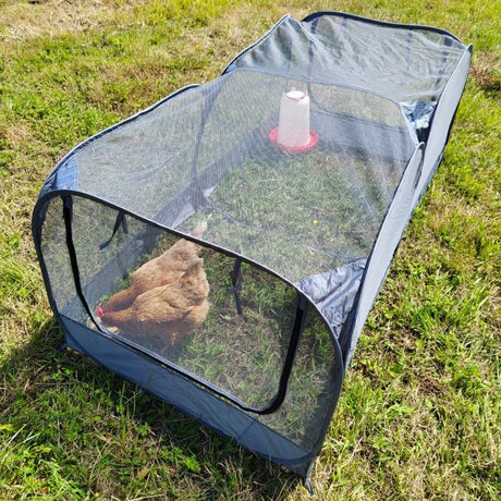 Chicken run on lawn with chickens in it with chicken feeder
