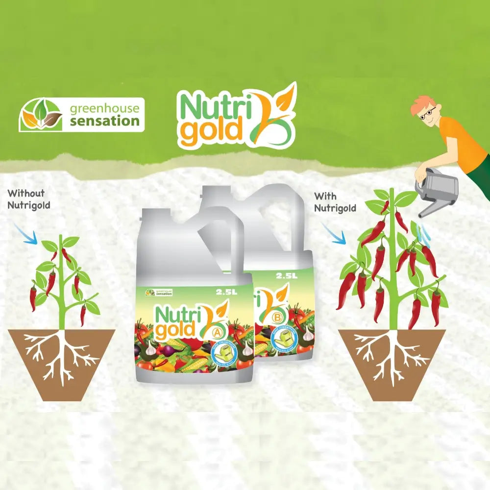 nutrigold plant feed enhancer