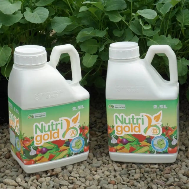 nutrigold feed for plants